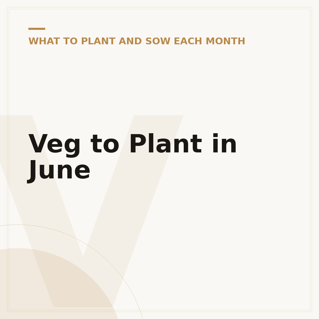 Veg to Plant in June