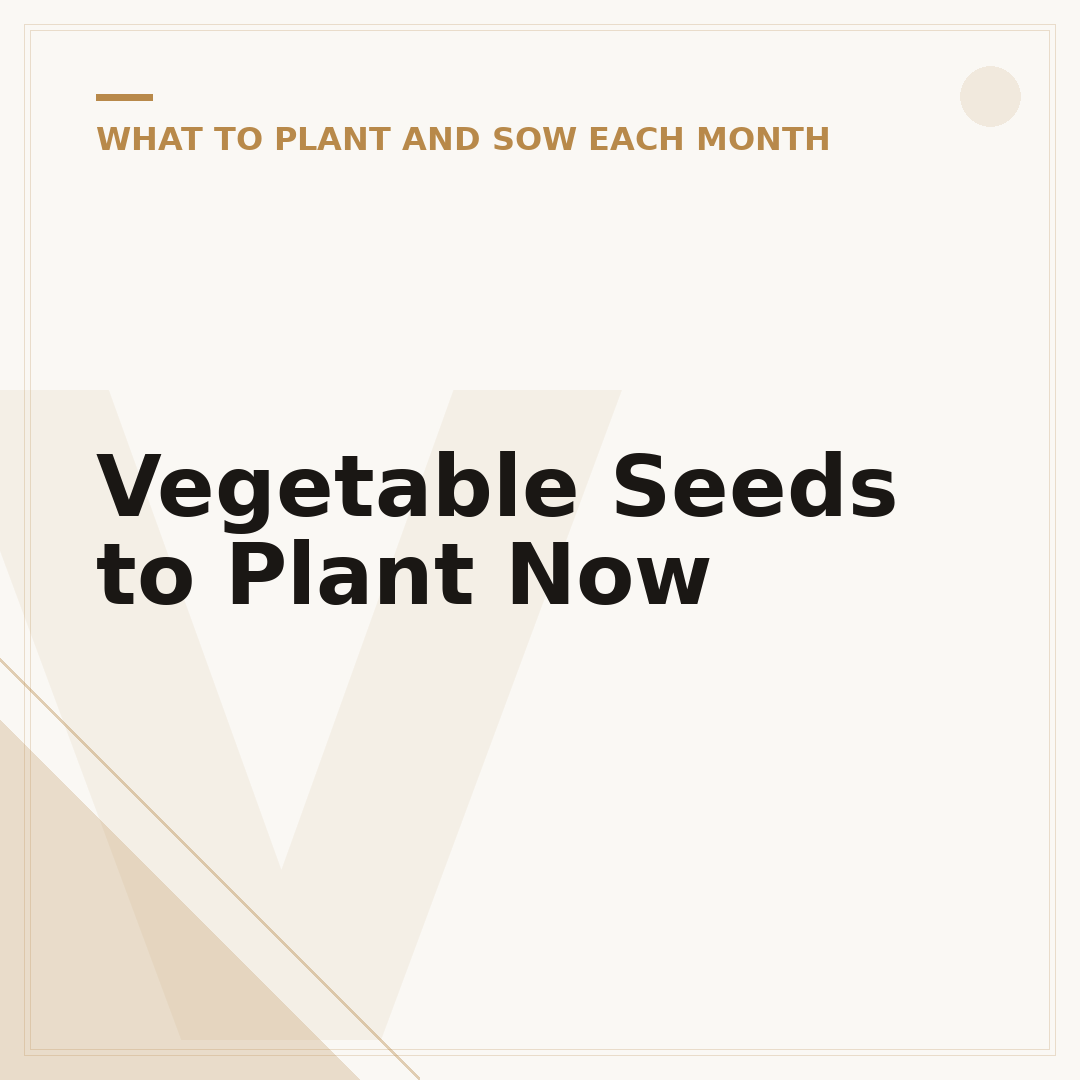 Vegetable Seeds to Plant Now