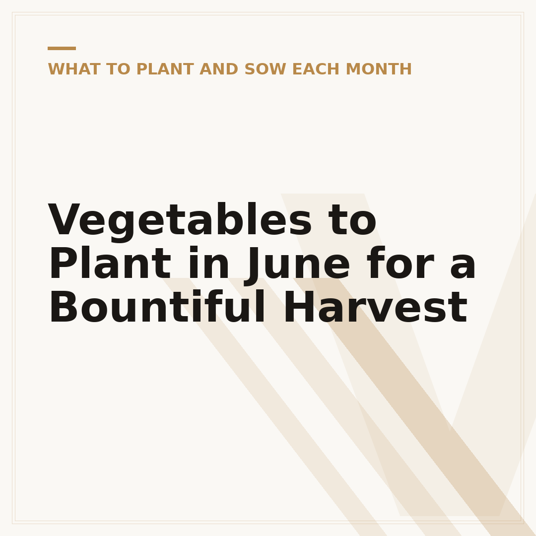 Vegetables to Plant in June for a Bountiful Harvest