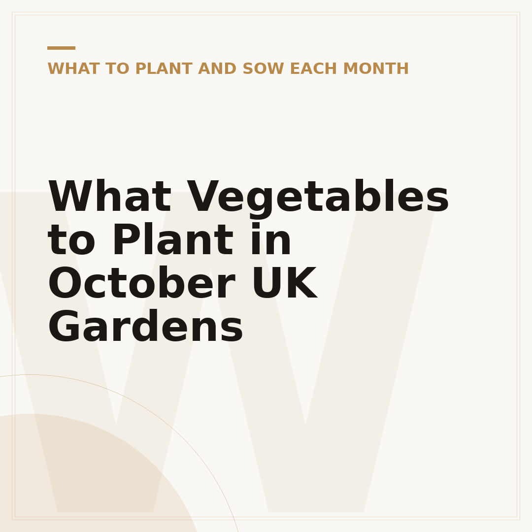 What Vegetables to Plant in October UK Gardens
