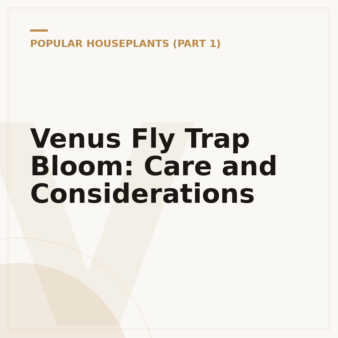 Venus Fly Trap Bloom: Care and Considerations