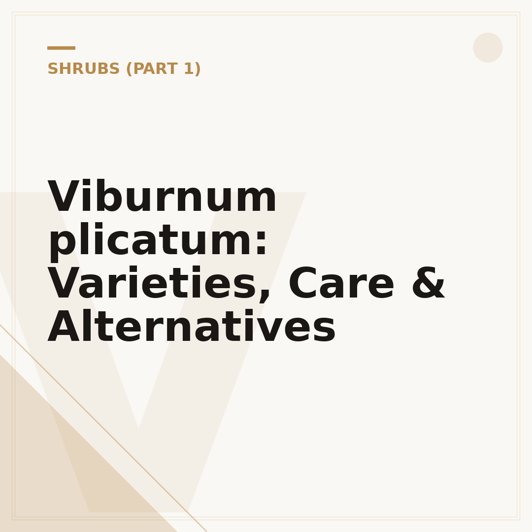 Viburnum plicatum: Varieties, Care & Alternatives