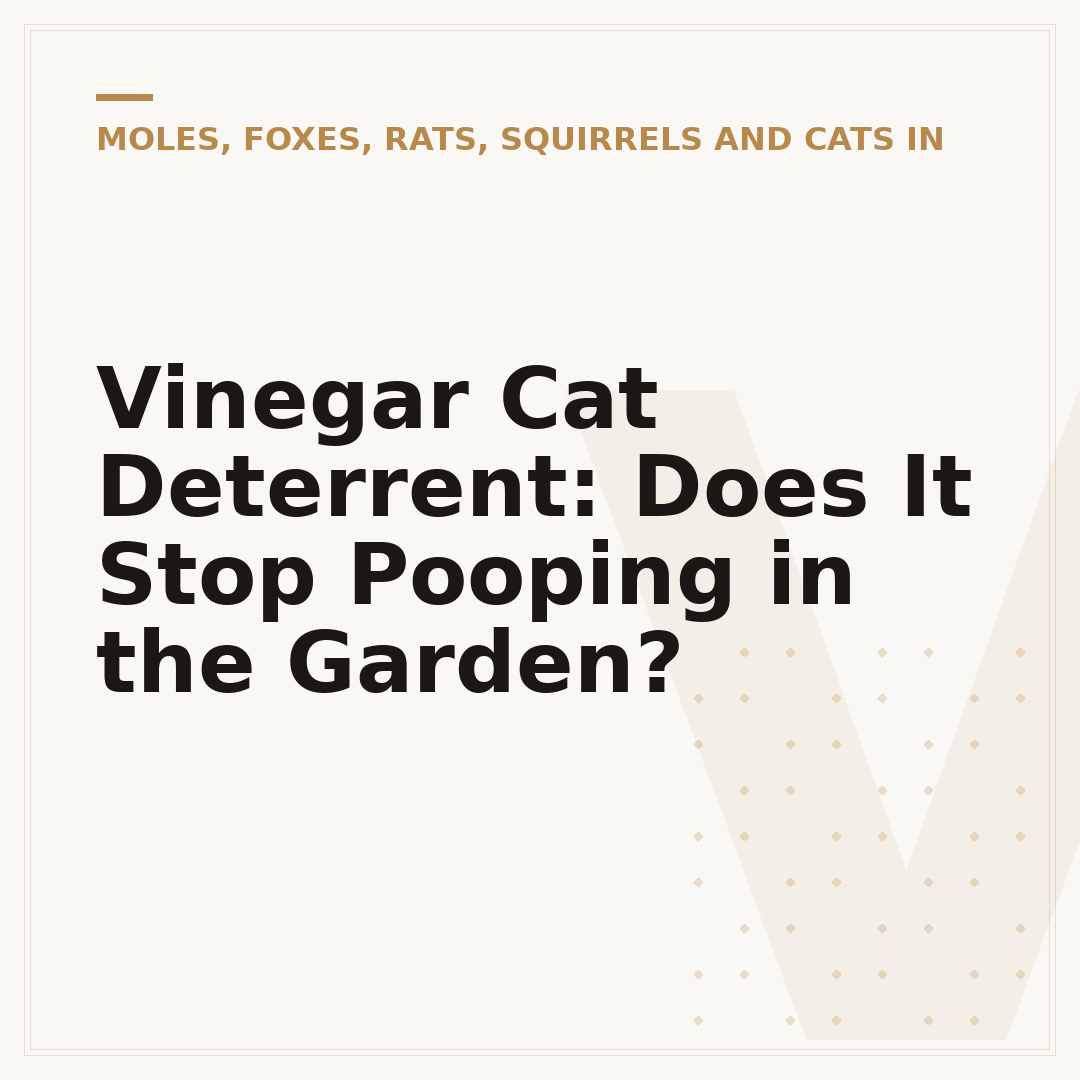 Vinegar Cat Deterrent: Does It Stop Pooping in the Garden?