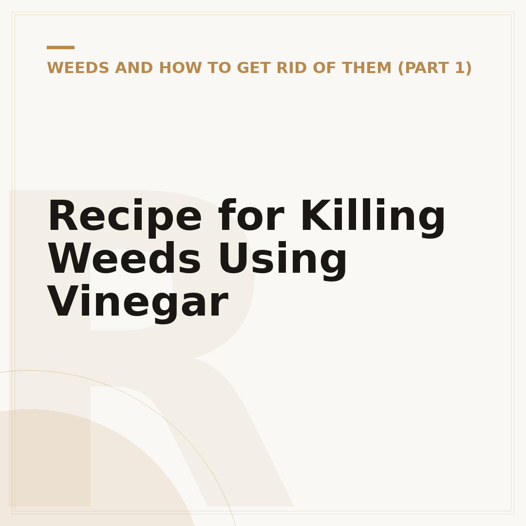 Recipe for Killing Weeds Using Vinegar