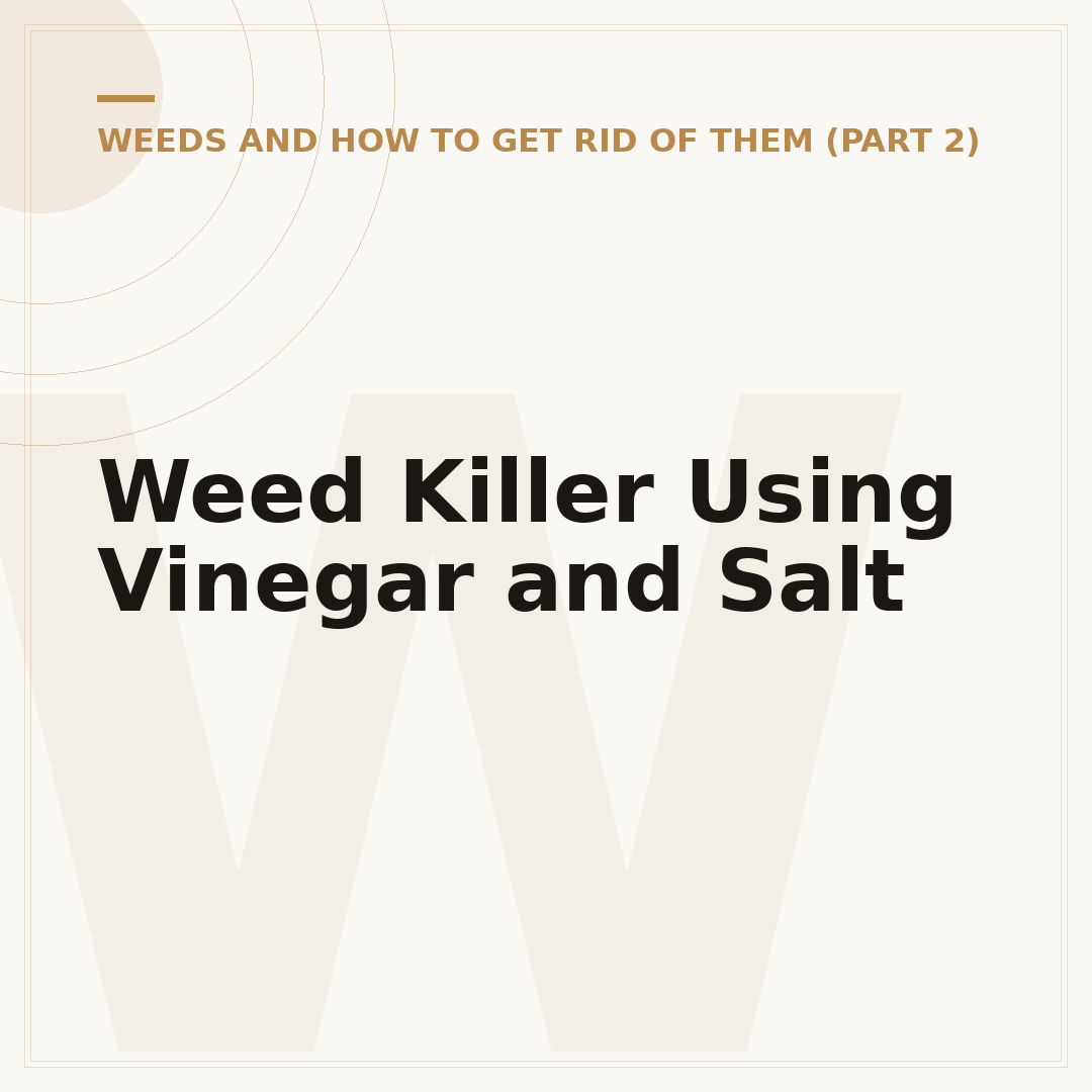 Weed Killer Using Vinegar and Salt