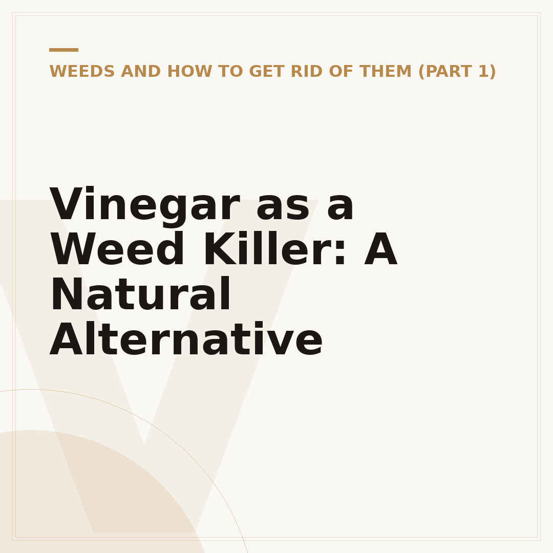 Vinegar as a Weed Killer: A Natural Alternative