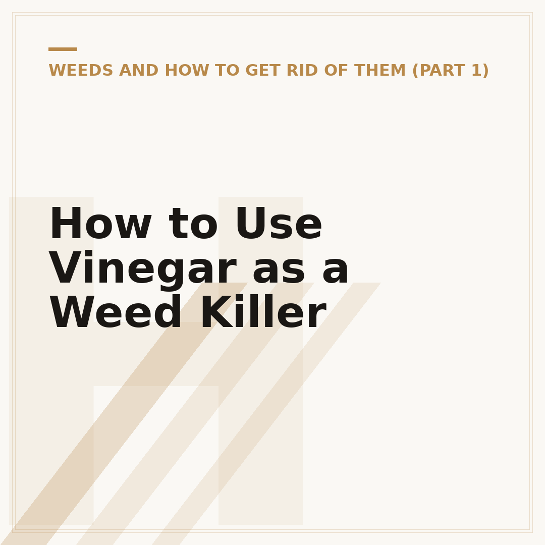 How to Use Vinegar as a Weed Killer
