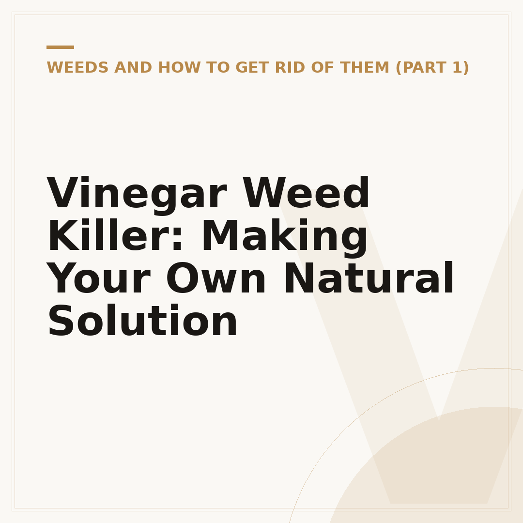 Vinegar Weed Killer: Making Your Own Natural Solution