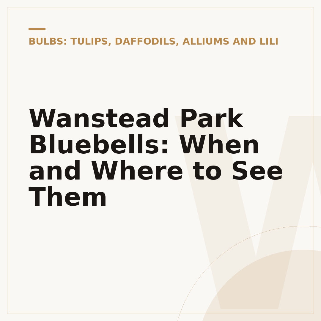 Wanstead Park Bluebells: When and Where to See Them