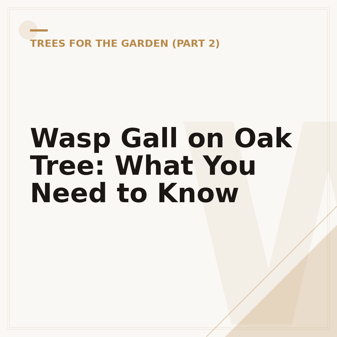 Wasp Gall on Oak Tree: What You Need to Know