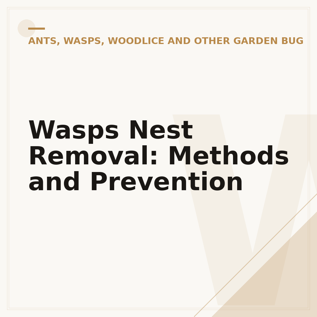 Wasps Nest Removal: Methods and Prevention