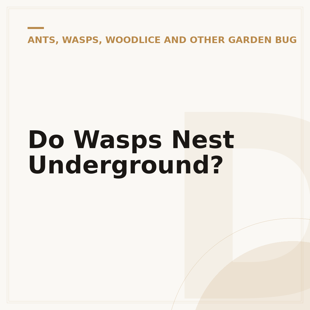 Do Wasps Nest Underground?