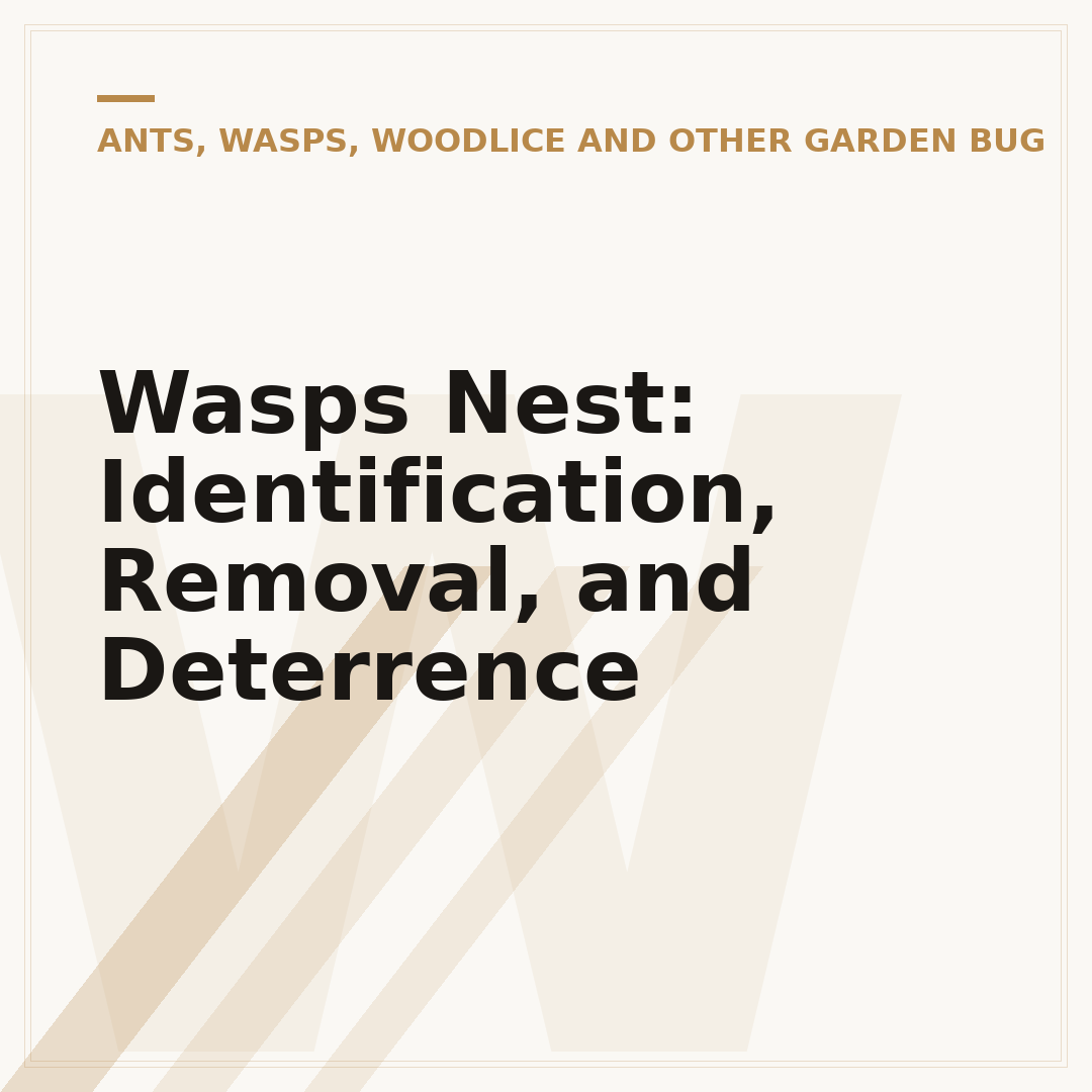 Wasps Nest: Identification, Removal, and Deterrence