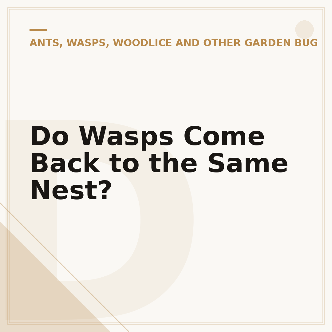 Do Wasps Come Back to the Same Nest?