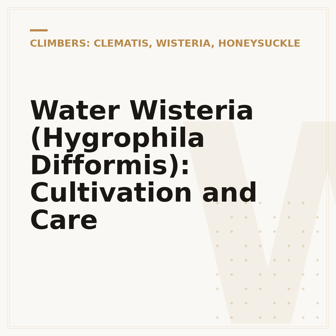 Water Wisteria (Hygrophila Difformis): Cultivation and Care