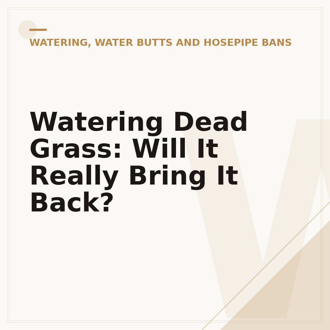 Watering Dead Grass: Will It Really Bring It Back?