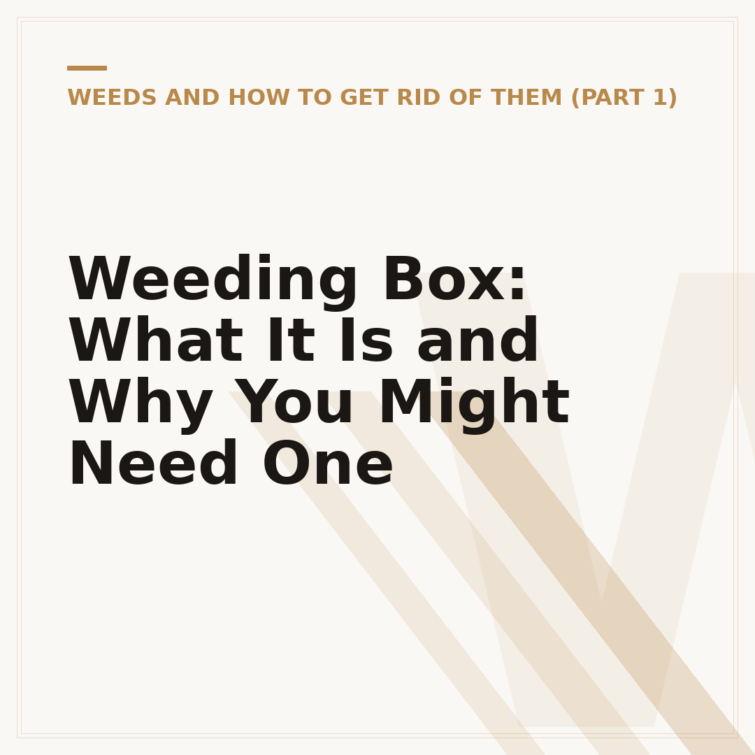 Weeding Box: What It Is and Why You Might Need One
