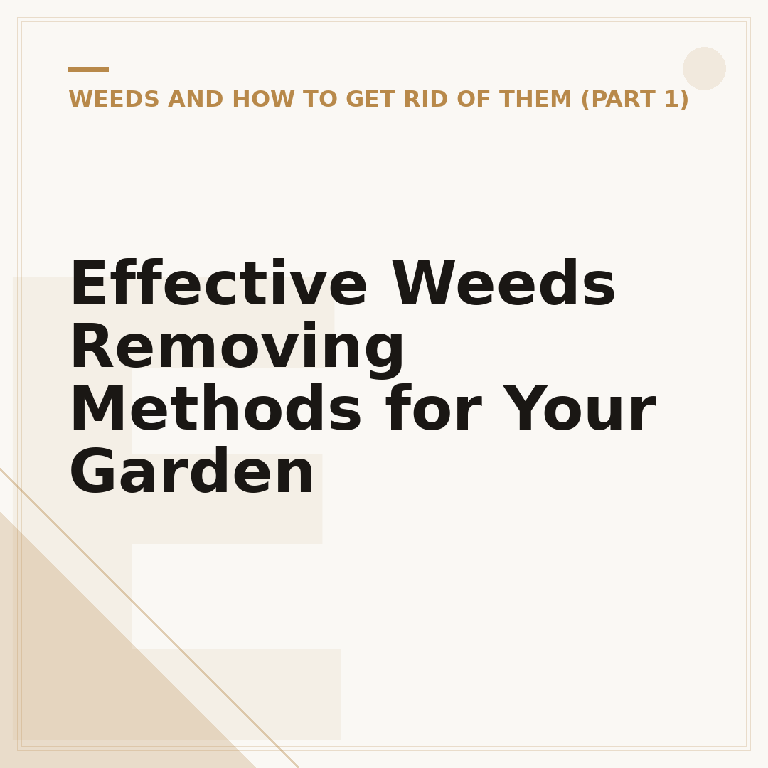 Effective Weeds Removing Methods for Your Garden