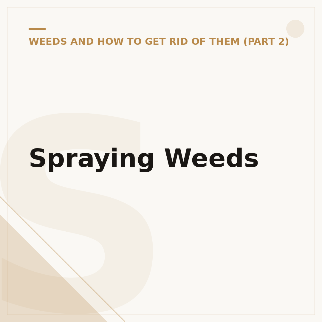 Spraying Weeds