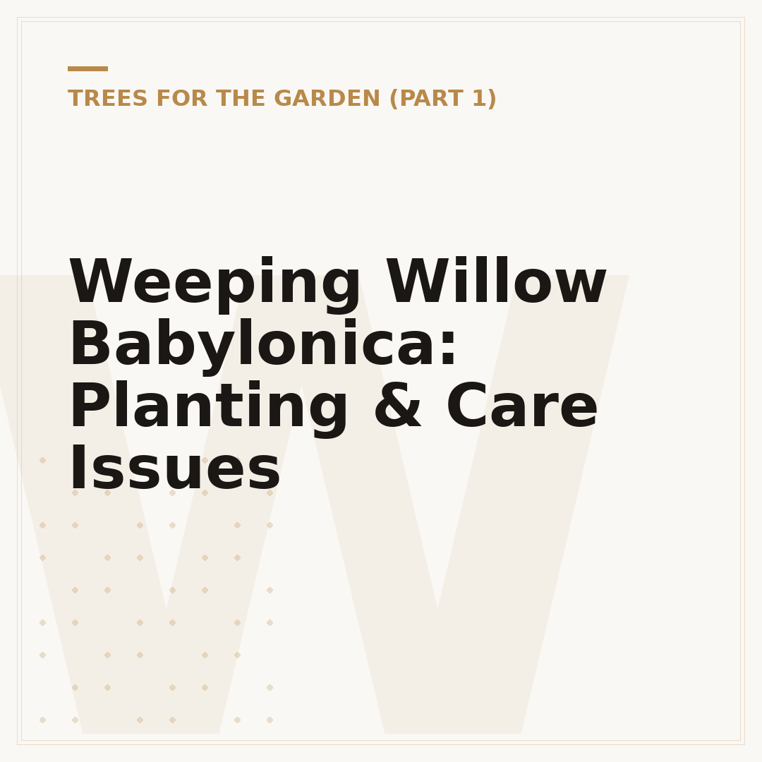 Weeping Willow Babylonica: Planting & Care Issues