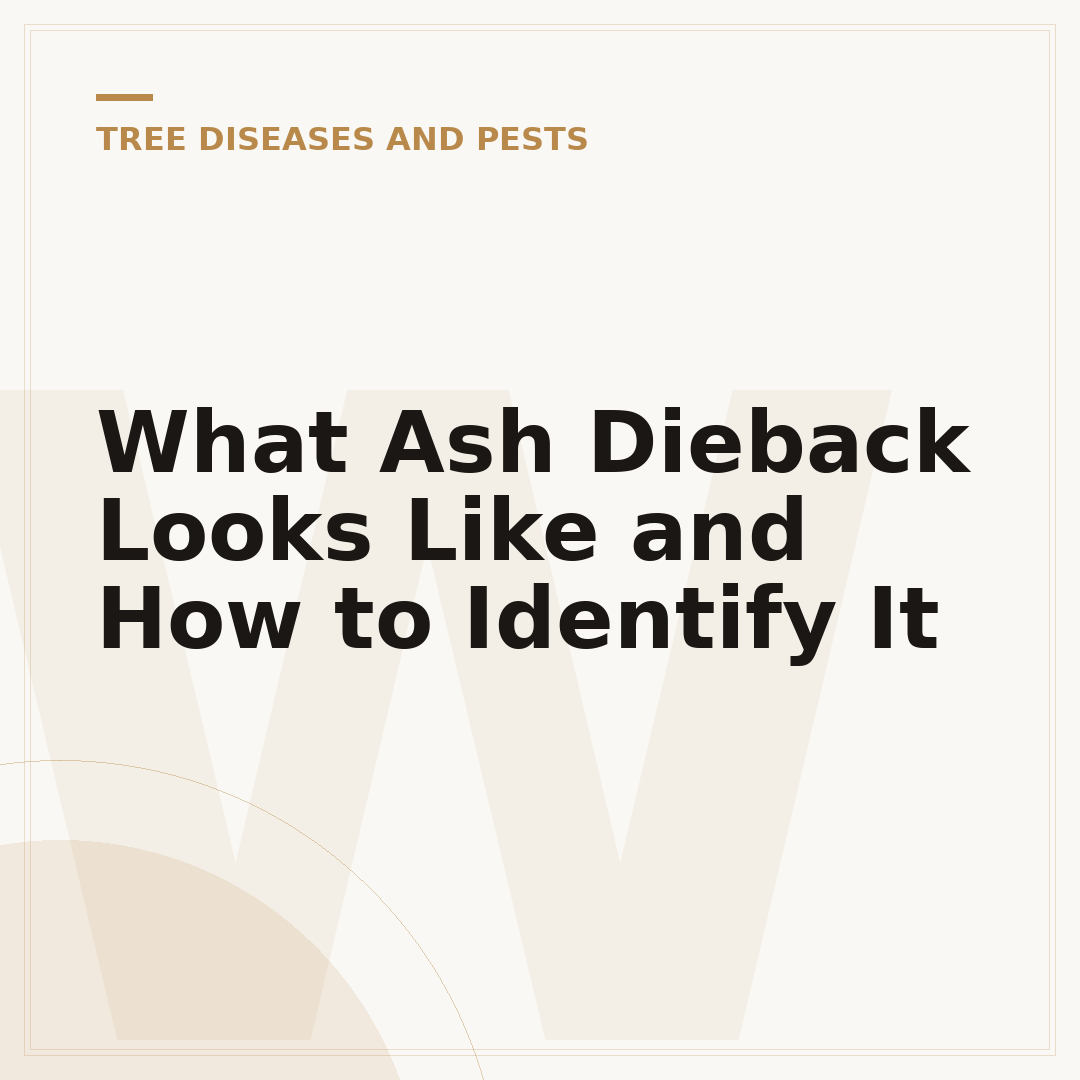What Ash Dieback Looks Like and How to Identify It