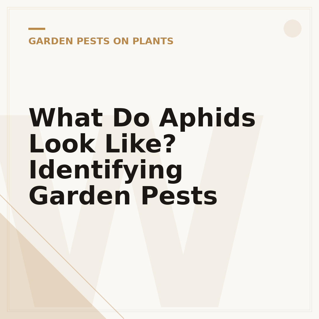 What Do Aphids Look Like? Identifying Garden Pests