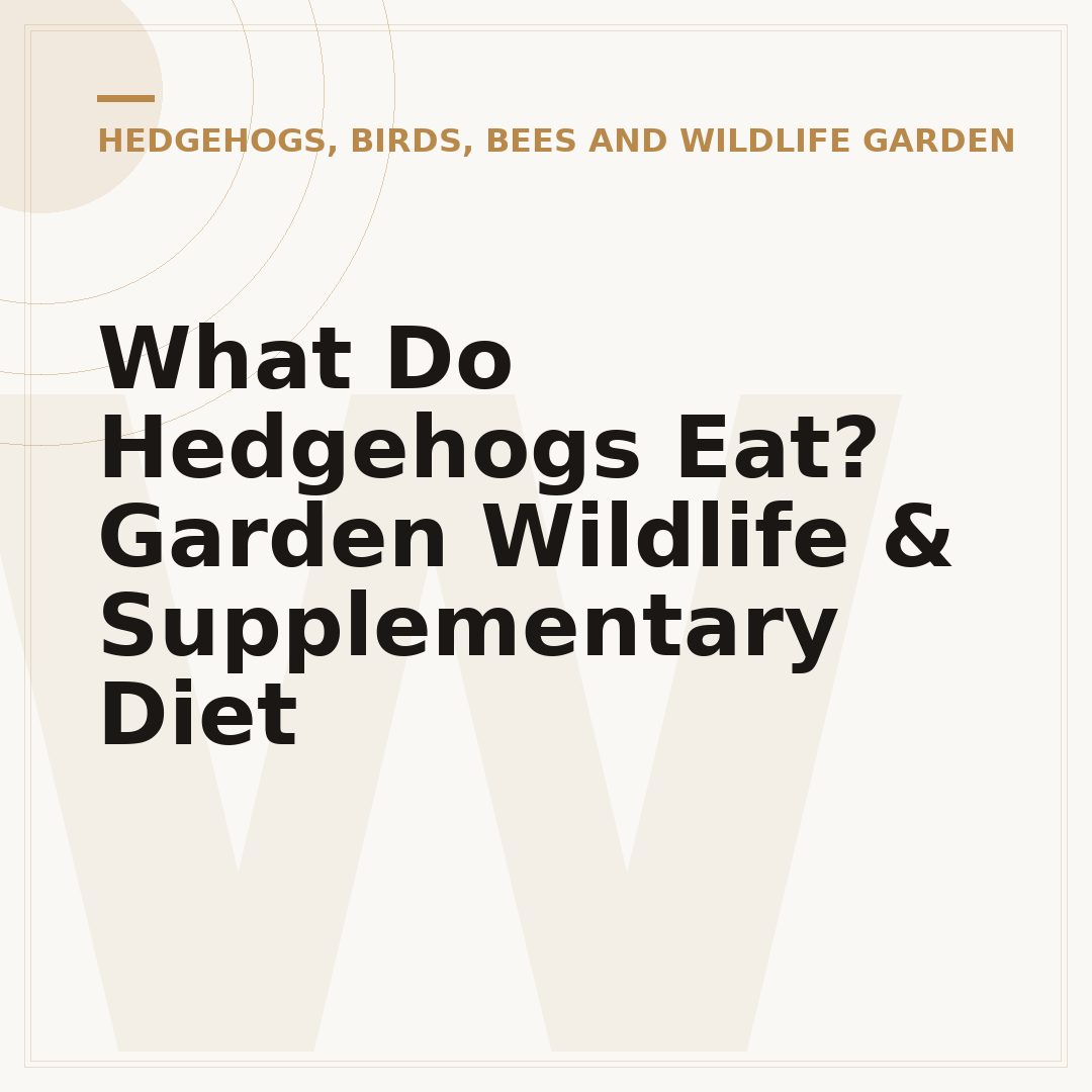 What Do Hedgehogs Eat? Garden Wildlife & Supplementary Diet