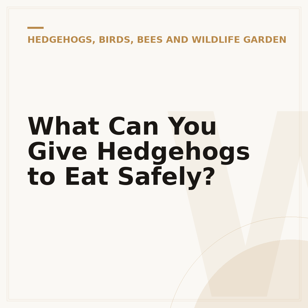 What Can You Give Hedgehogs to Eat Safely?