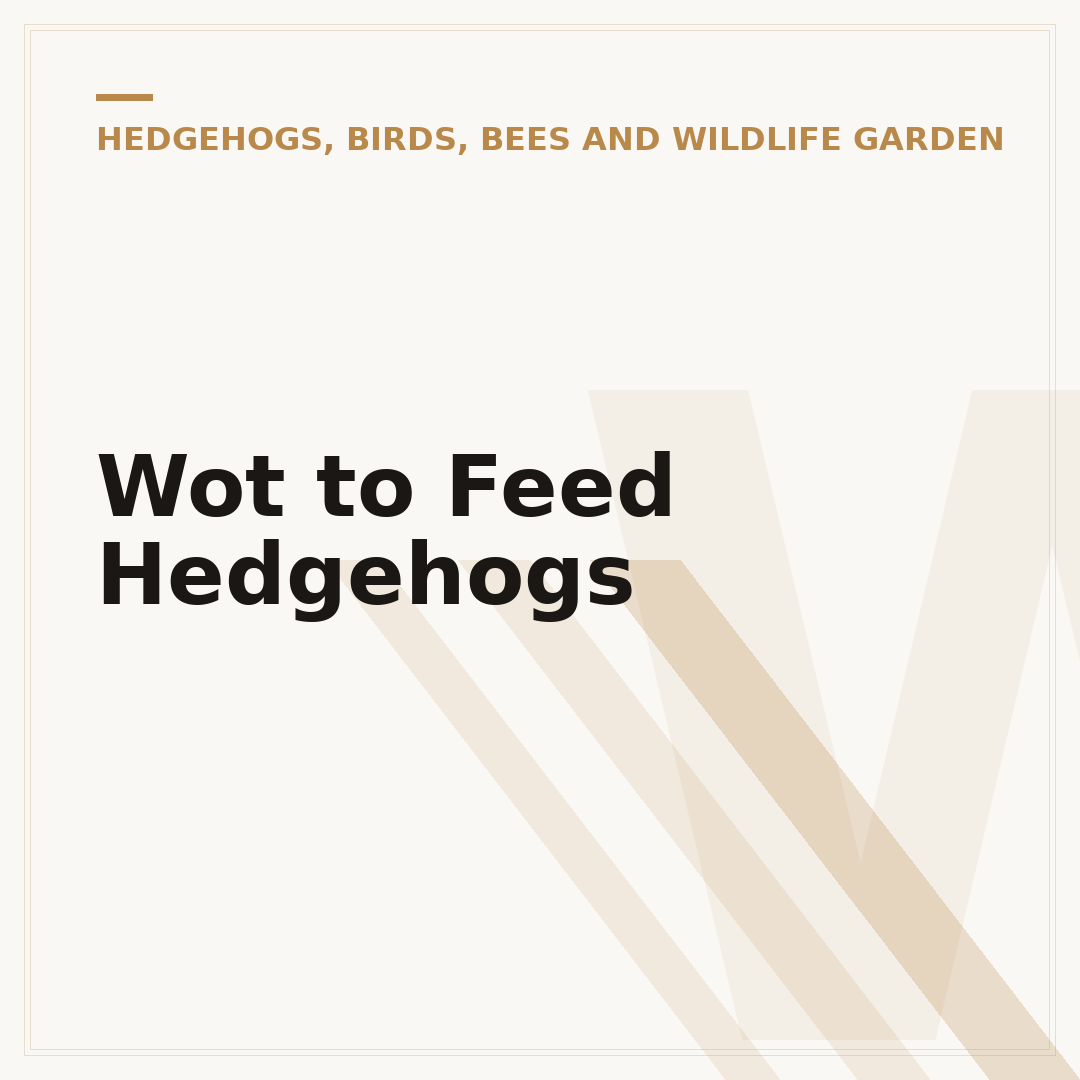 Wot to Feed Hedgehogs