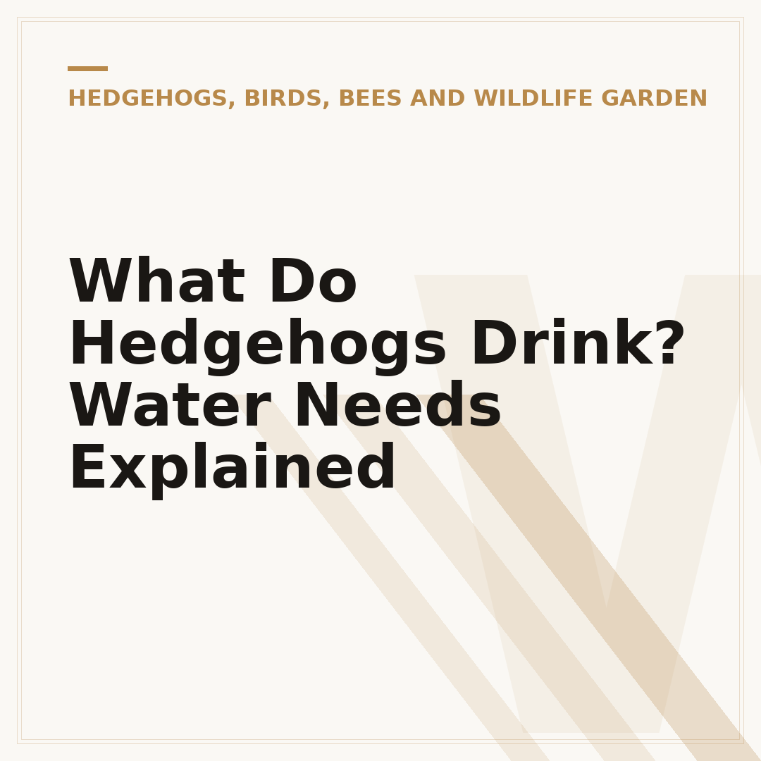 What Do Hedgehogs Drink? Water Needs Explained