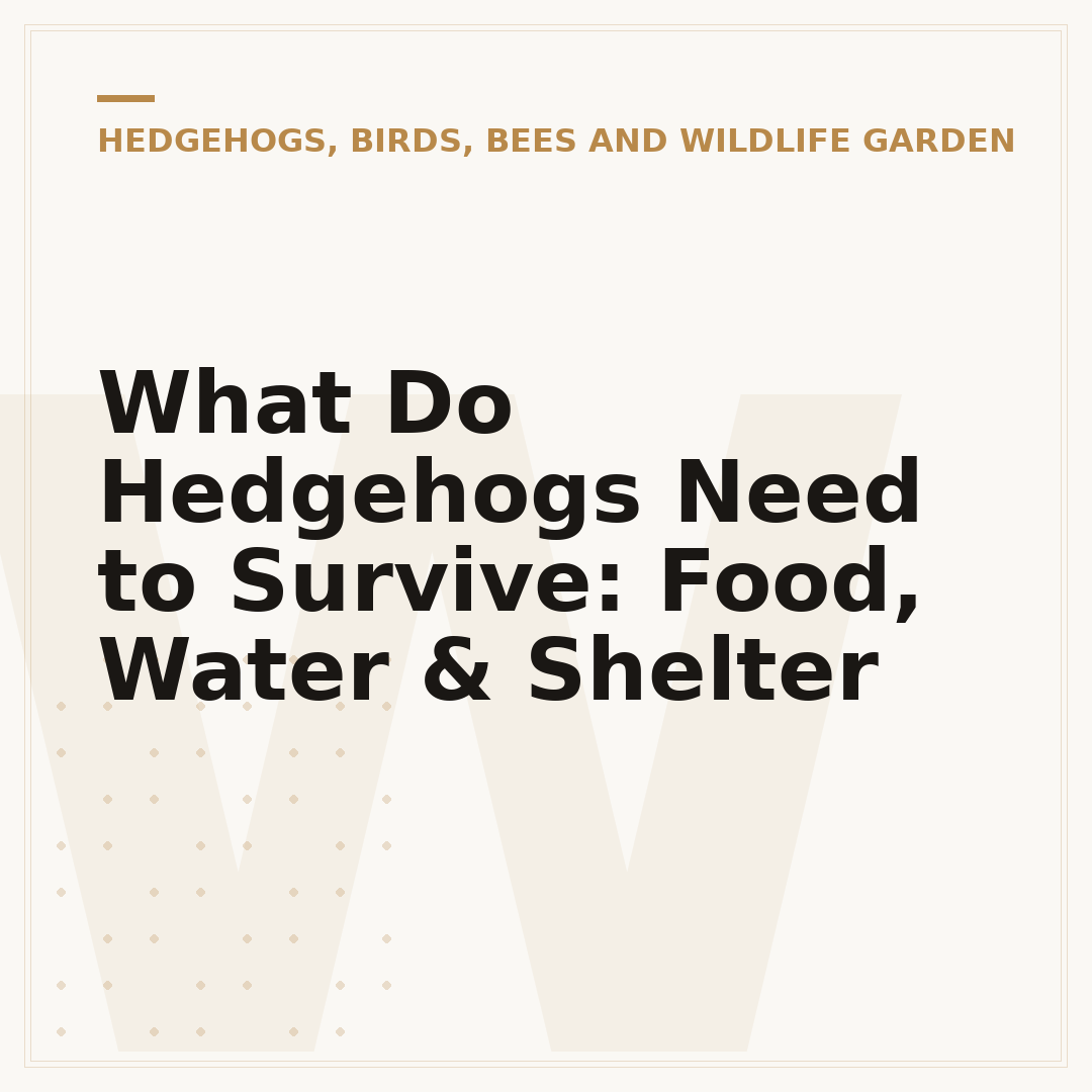 What Do Hedgehogs Need to Survive: Food, Water & Shelter