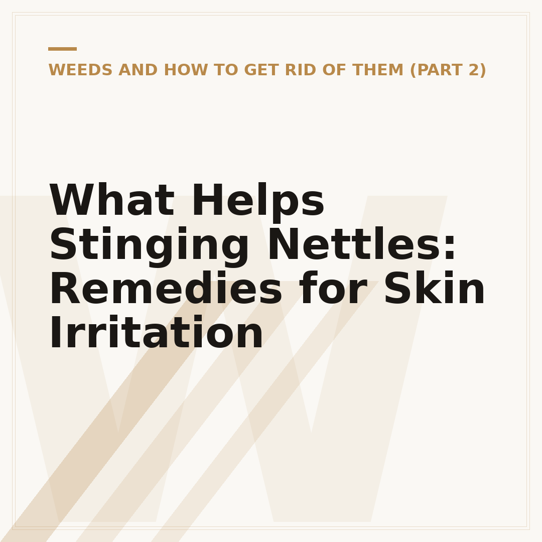 What Helps Stinging Nettles: Remedies for Skin Irritation