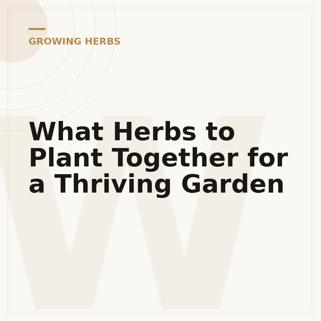 What Herbs to Plant Together for a Thriving Garden