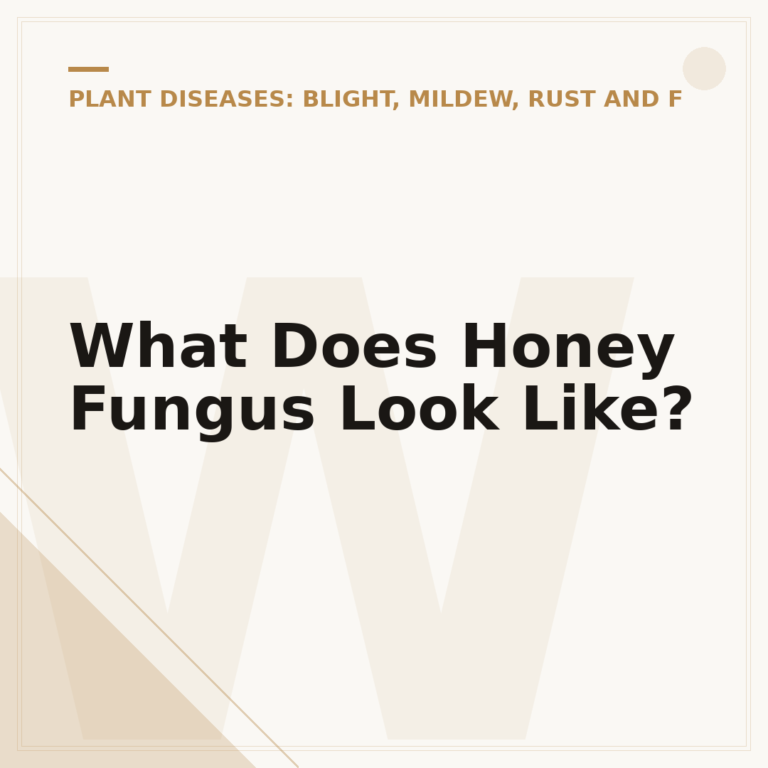What Does Honey Fungus Look Like?
