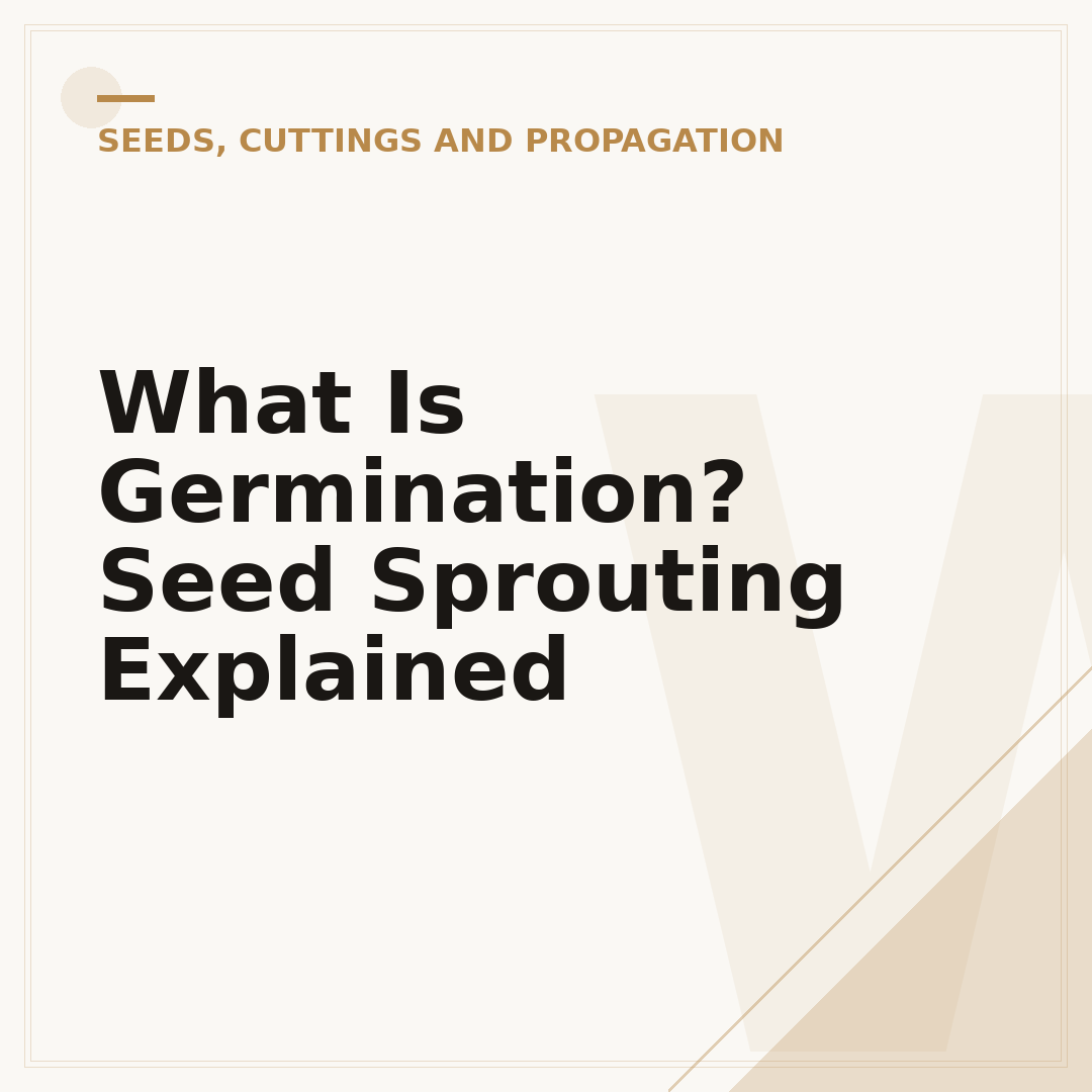 What Is Germination? Seed Sprouting Explained