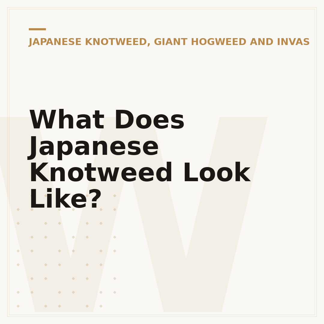 What Does Japanese Knotweed Look Like?