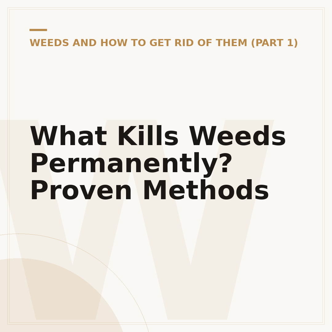 What Kills Weeds Permanently? Proven Methods