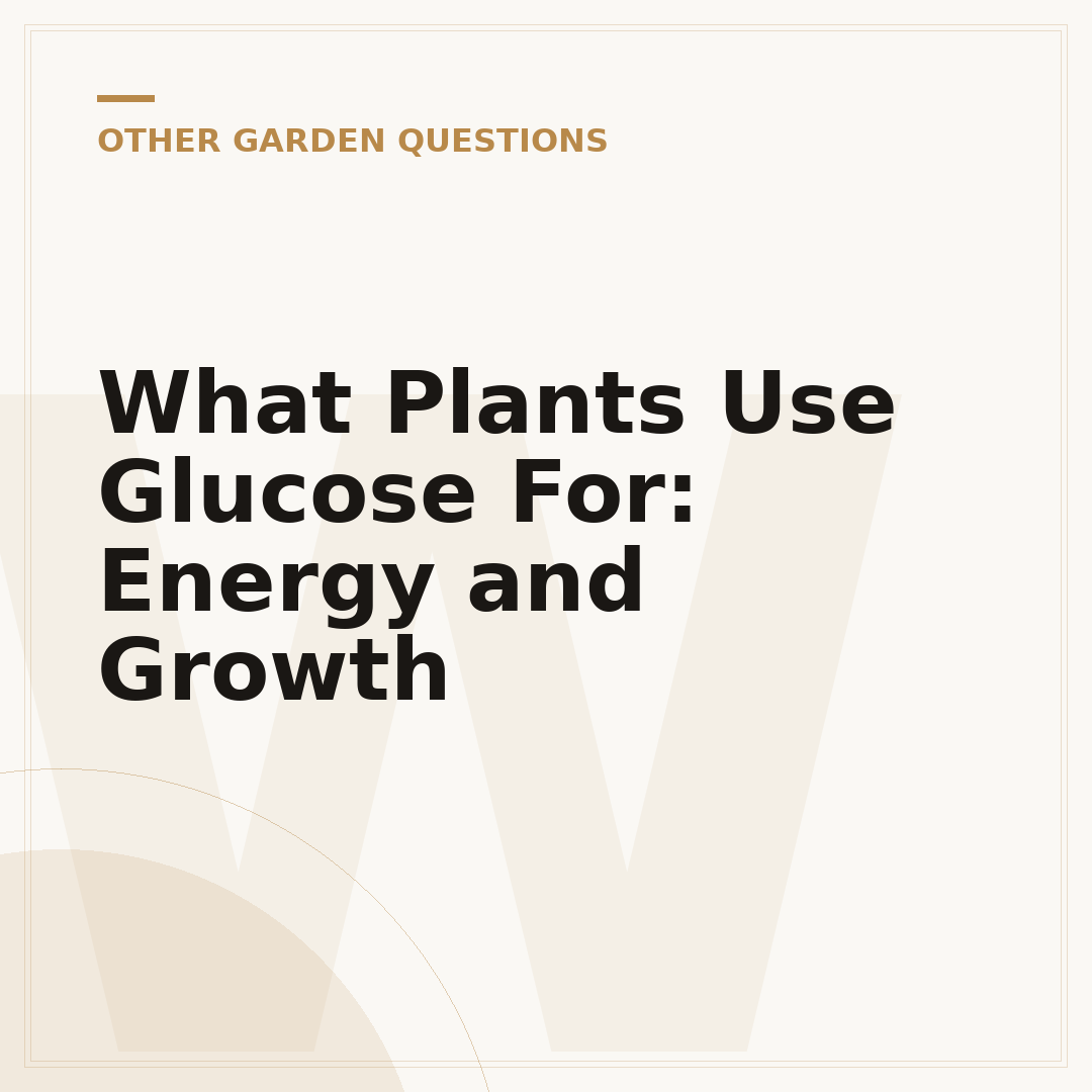 What Plants Use Glucose For: Energy and Growth