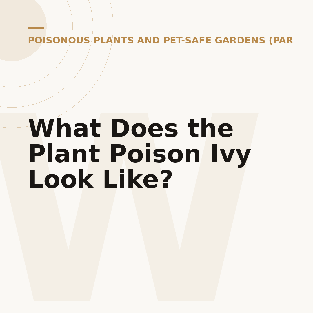 What Does the Plant Poison Ivy Look Like?