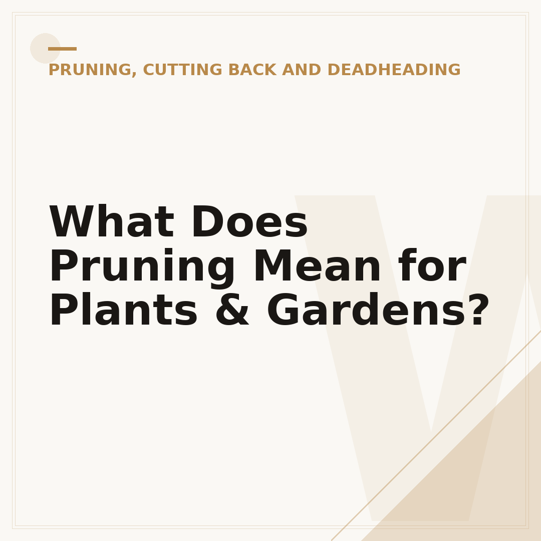 What Does Pruning Mean for Plants & Gardens?