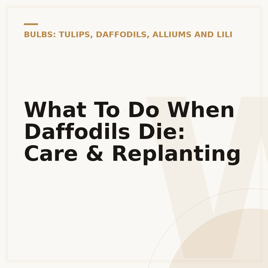 What To Do When Daffodils Die: Care & Replanting