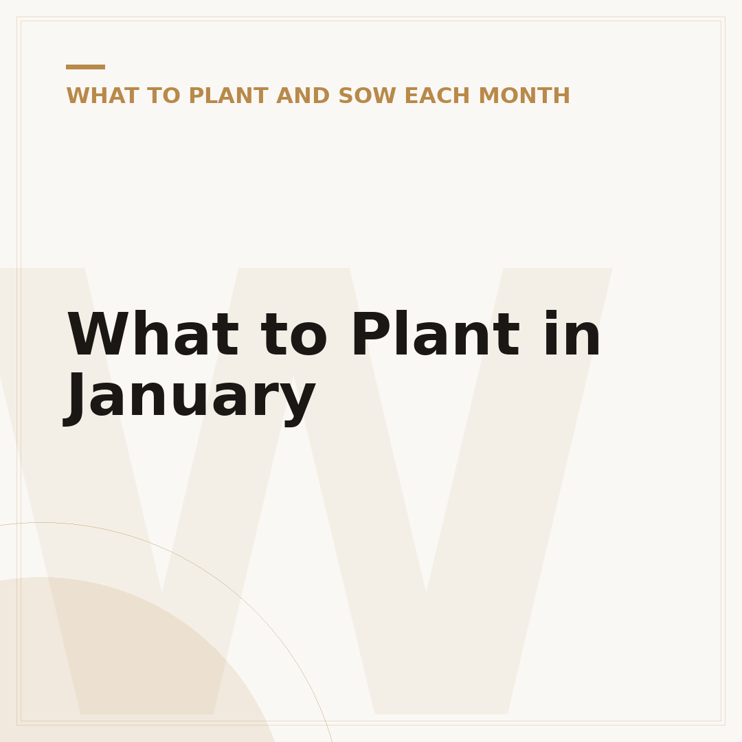 What to Plant in January
