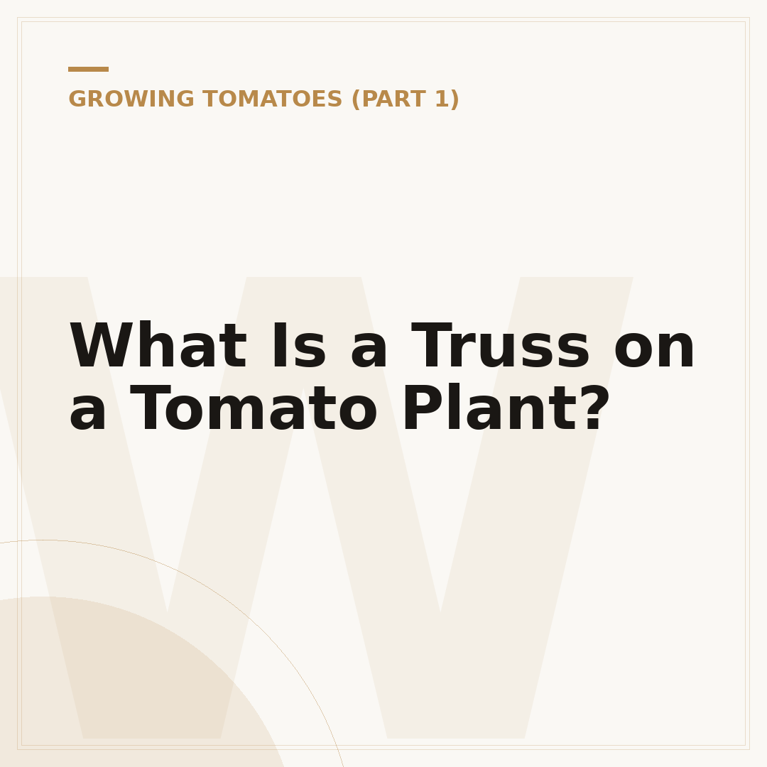 What Is a Truss on a Tomato Plant?