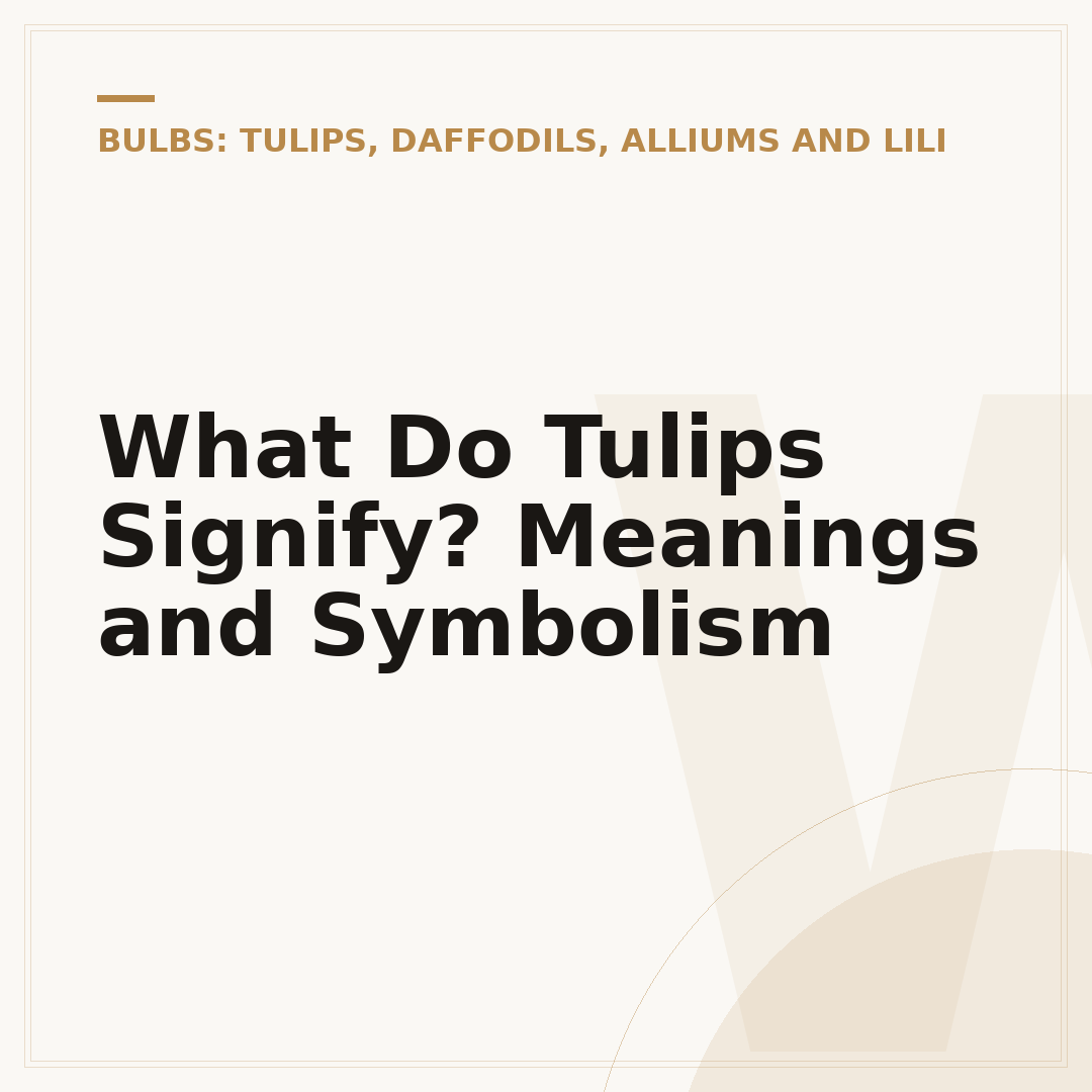 What Do Tulips Signify? Meanings and Symbolism