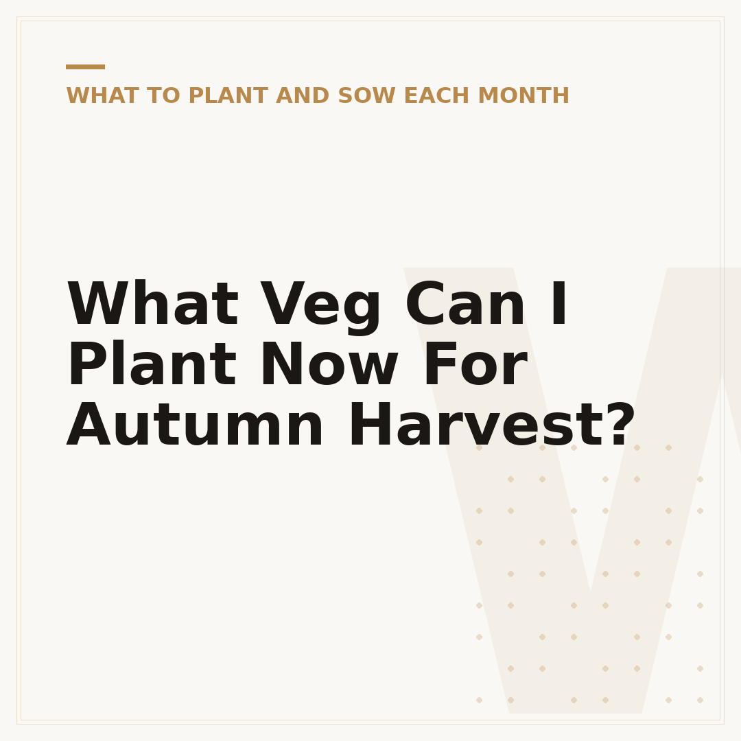 What Veg Can I Plant Now For Autumn Harvest?