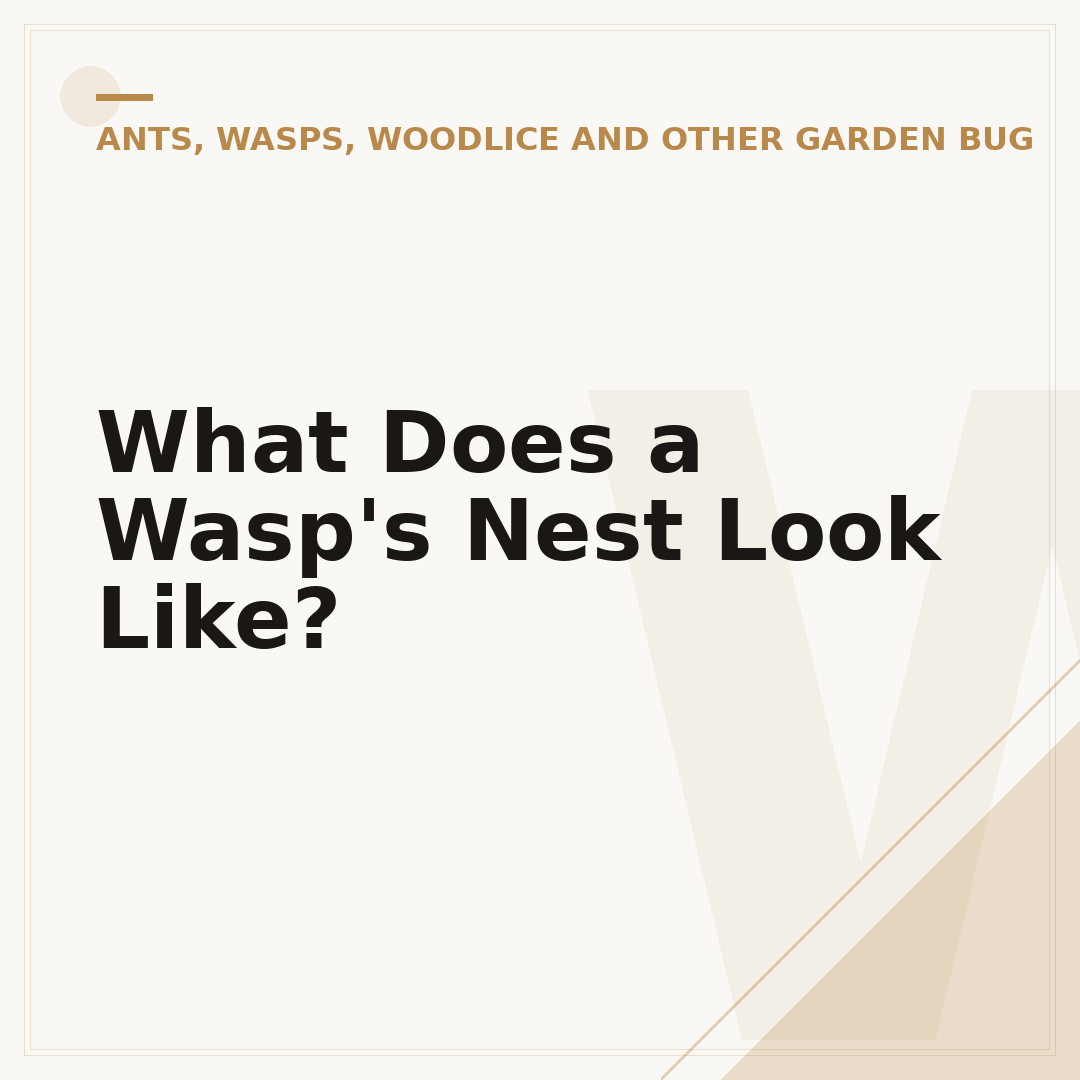 What Does a Wasp's Nest Look Like?