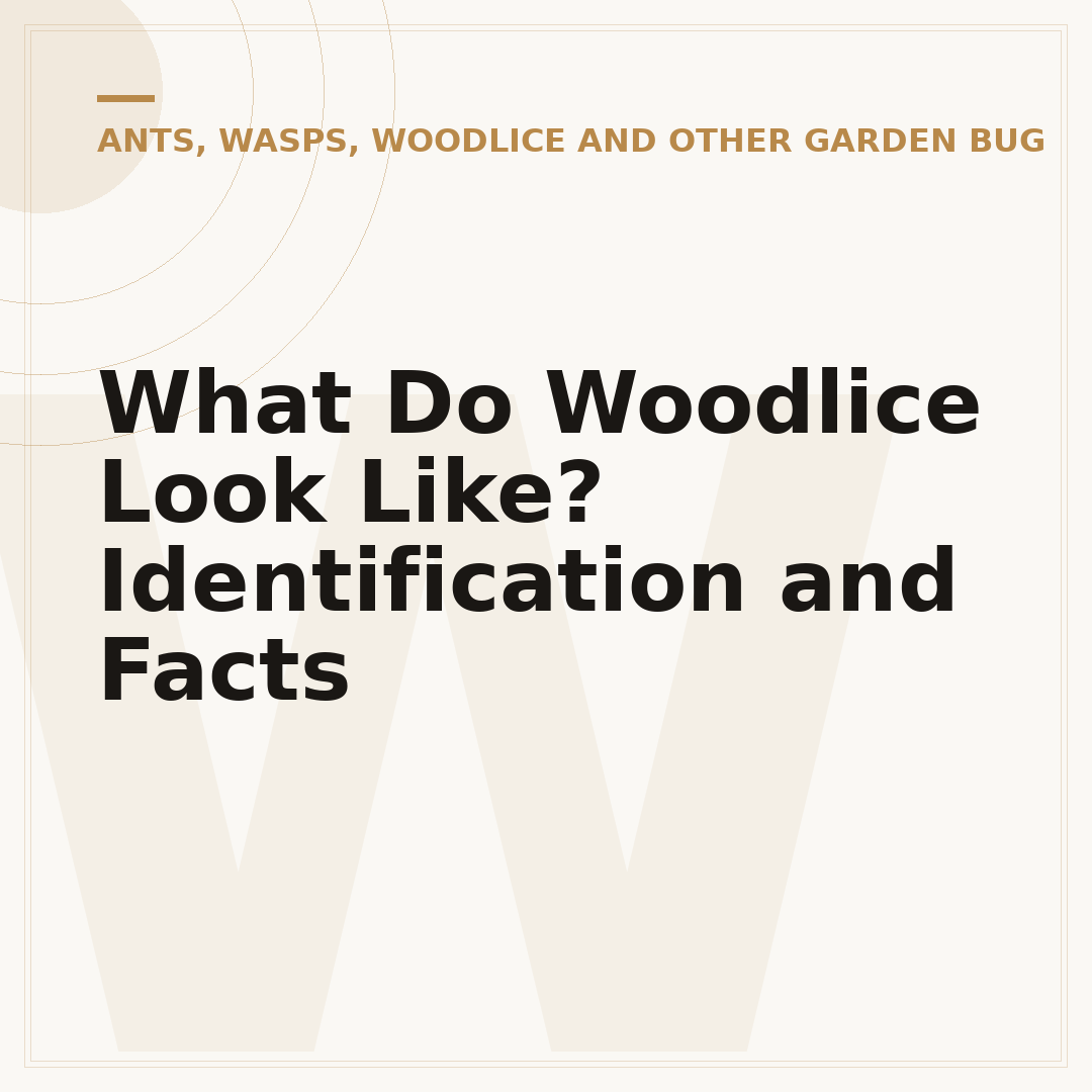 What Do Woodlice Look Like? Identification and Facts
