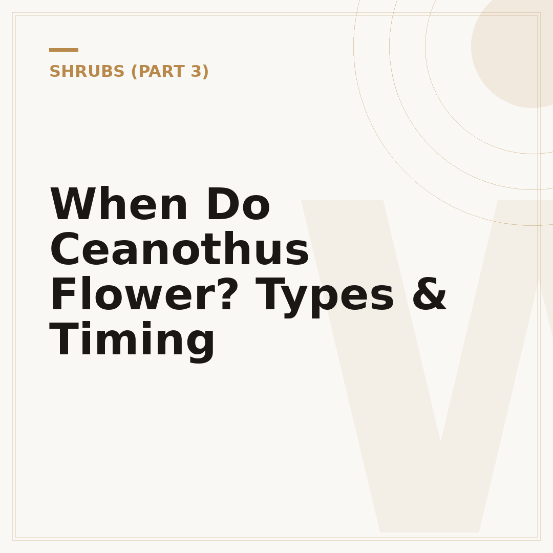 When Do Ceanothus Flower? Types & Timing