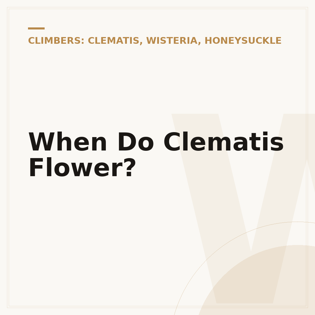 When Do Clematis Flower?