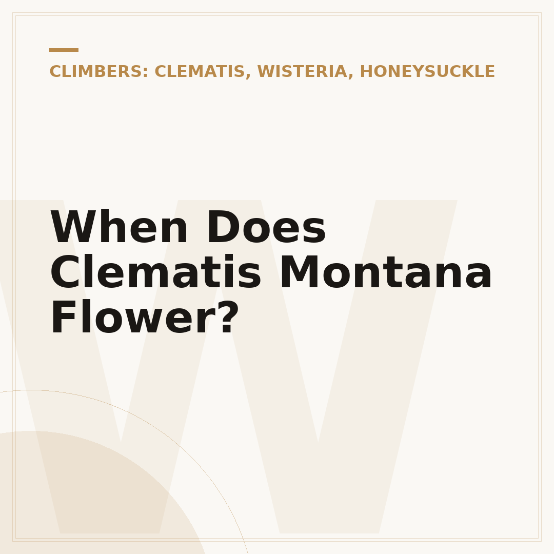 When Does Clematis Montana Flower?